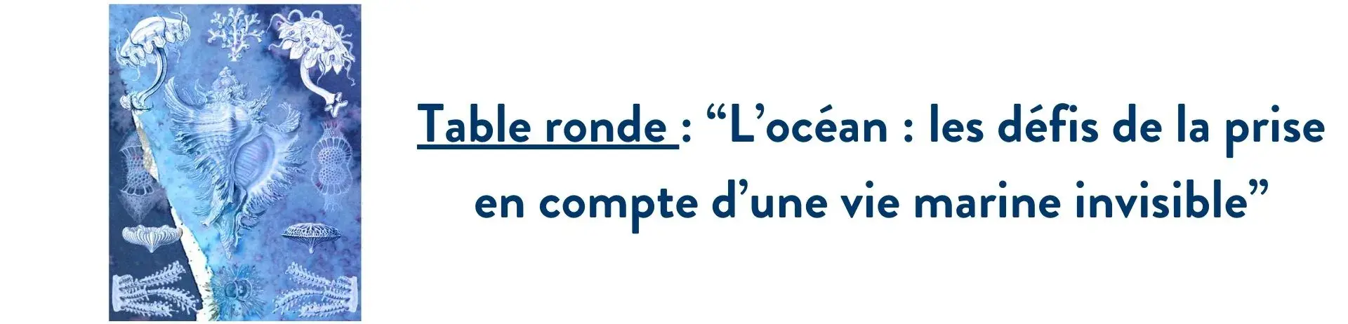 Table ronde "L’océan : les défis de la prise en compte d’une vie marine invisible"